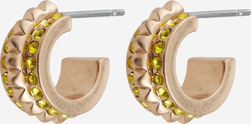 AllSaints Kolczyki w kolorze złoty: przód