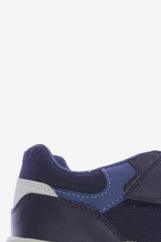 GEOX Sneaker 39 in Blau