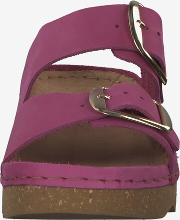 ROHDE Mules '6222' in Pink