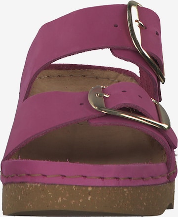 Mule '6222' ROHDE en rose