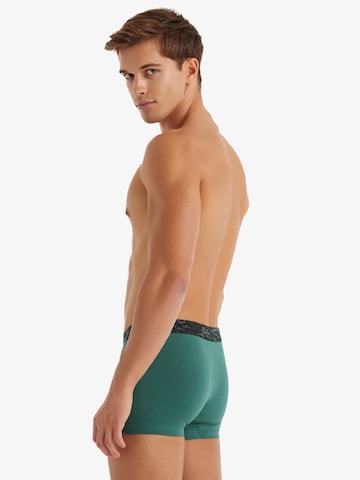 Blackspade Boxershorts in Groen