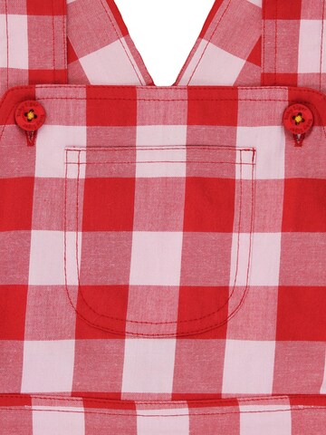 Toby Tiger Regular Overalls in Red