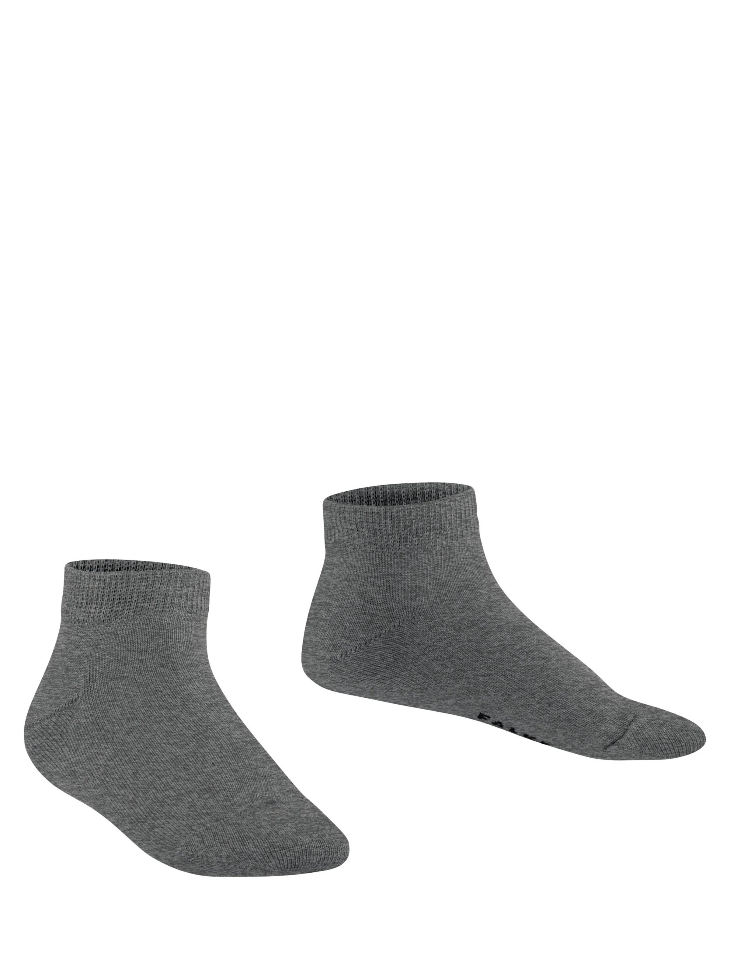 FALKE Socks 'Family' in Grey