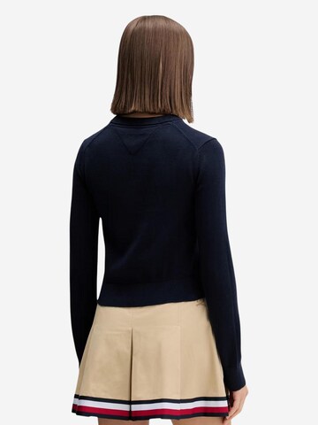 Pullover 'DW0DW22930' di Tommy Jeans in blu