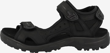 ECCO Sandals 'Offroad' in Black