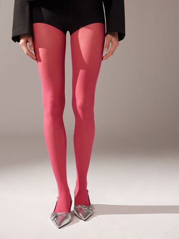 CALZEDONIA Tights in Red: front