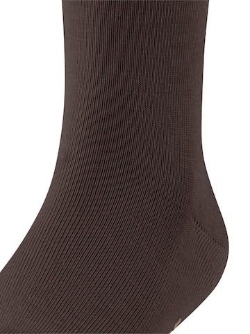 FALKE Socks in Brown