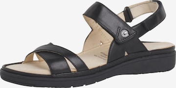 Ganter Strap Sandals in Black: front