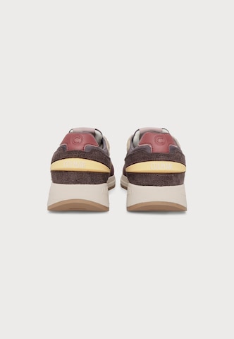 Colmar Låg sneaker 'LOGAN' i brun