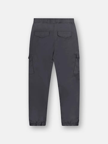 Coupe slim Pantalon cargo M.O.D MIRACLE OF DENIM en gris