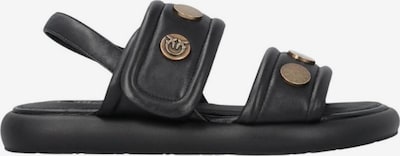 PINKO Schnürschuh in schwarz, Produktansicht