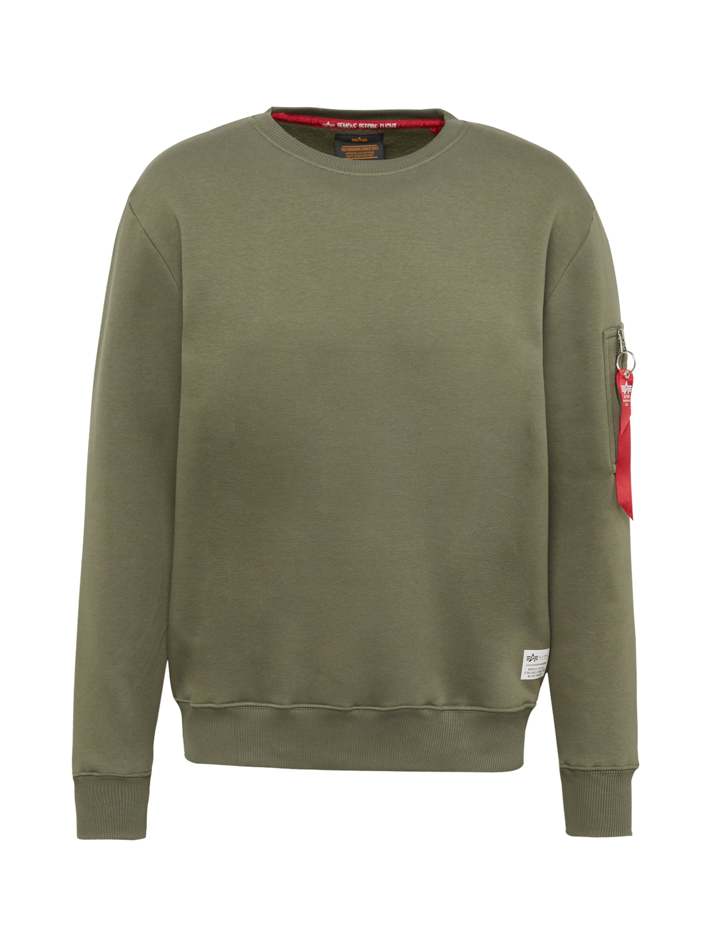 ALPHA INDUSTRIES Sweatshirt 'Dragon' in Grün: Vorderseite