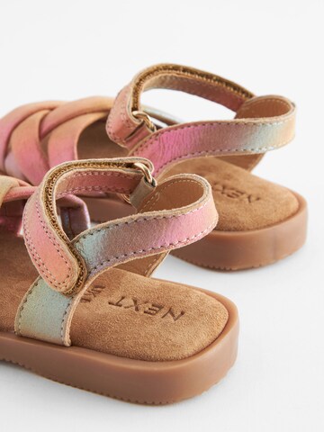 Next Sandale in Pink