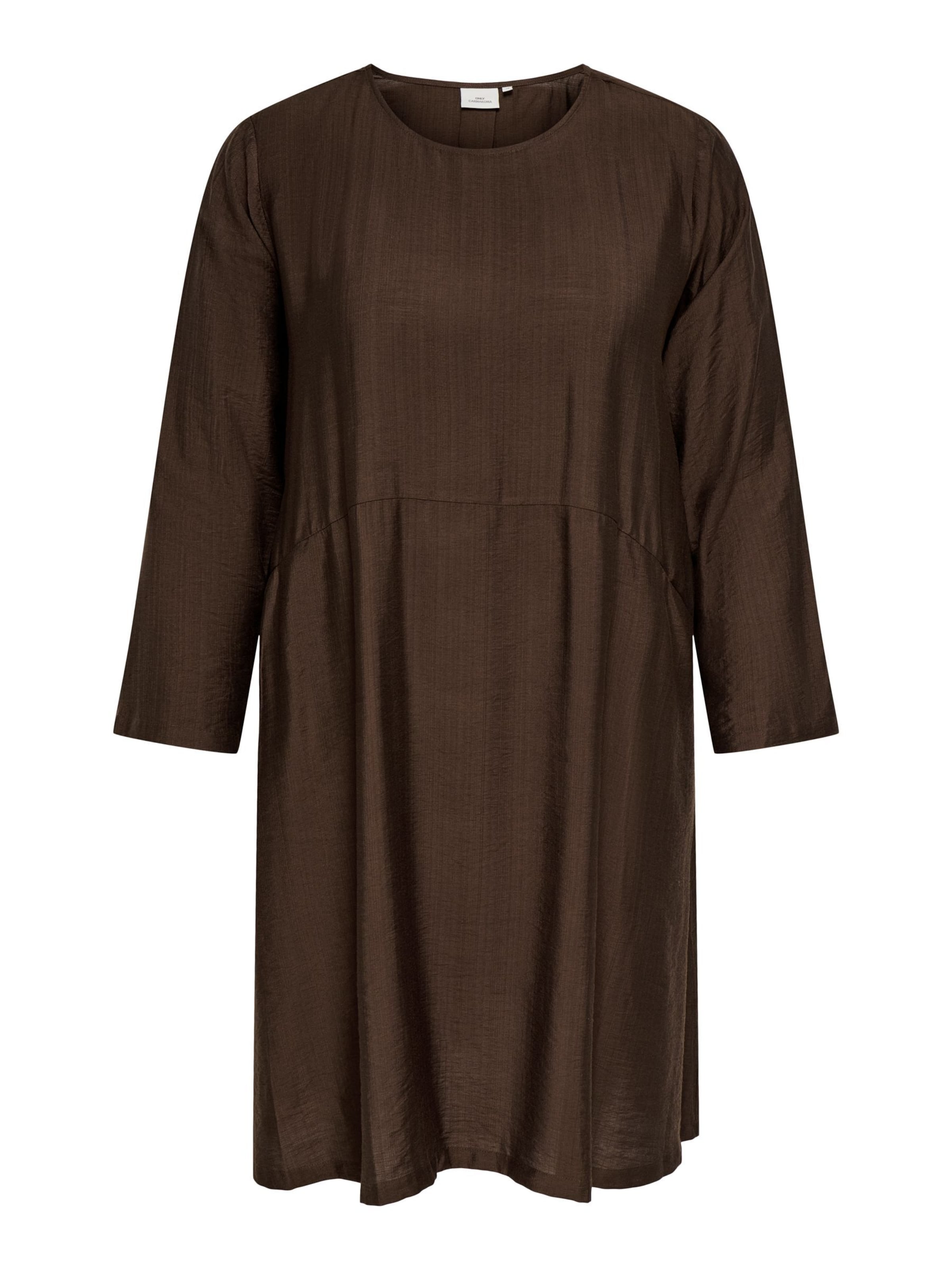 ONLY Carmakoma Kleit 'CARJoanna', värv pruun: eest vaates