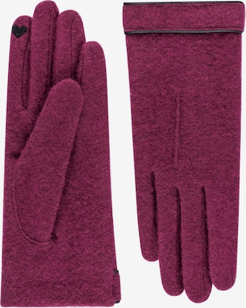 Gants 'LEATHER PIPING TOUCH' Roeckl en violet : devant