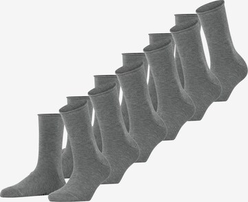 FALKE Ponožky 'Happy Bundle' – šedá: přední strana