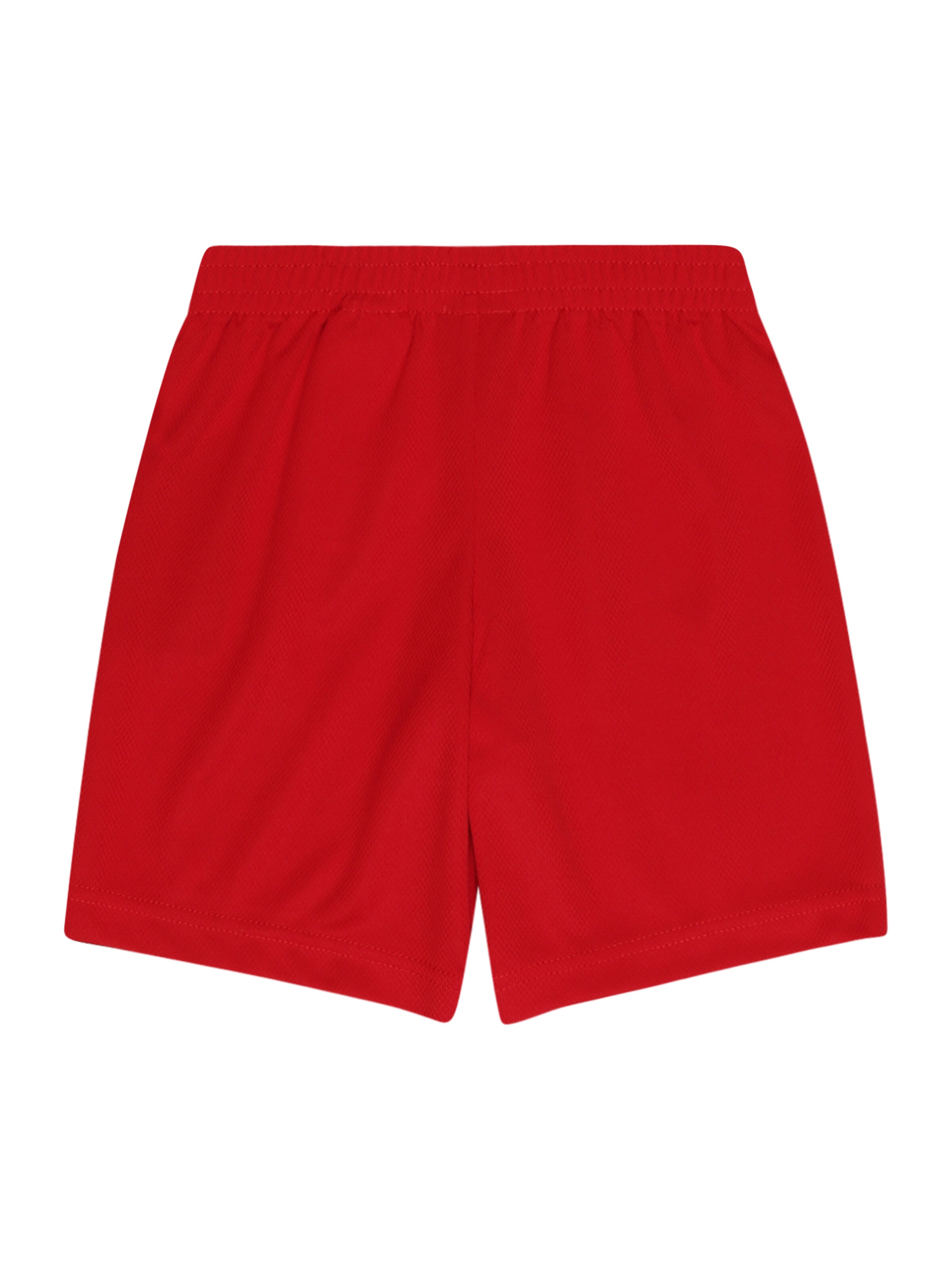 Jordan Обычный Штаны в Красный