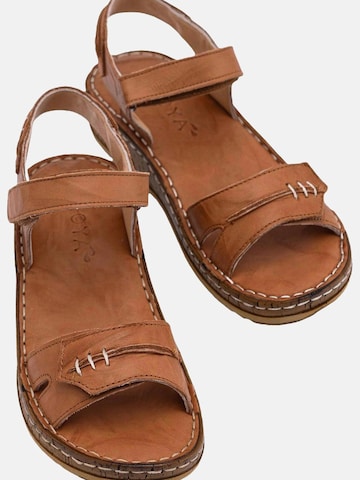 Limoya Sandals 'Damensandalen' in Brown