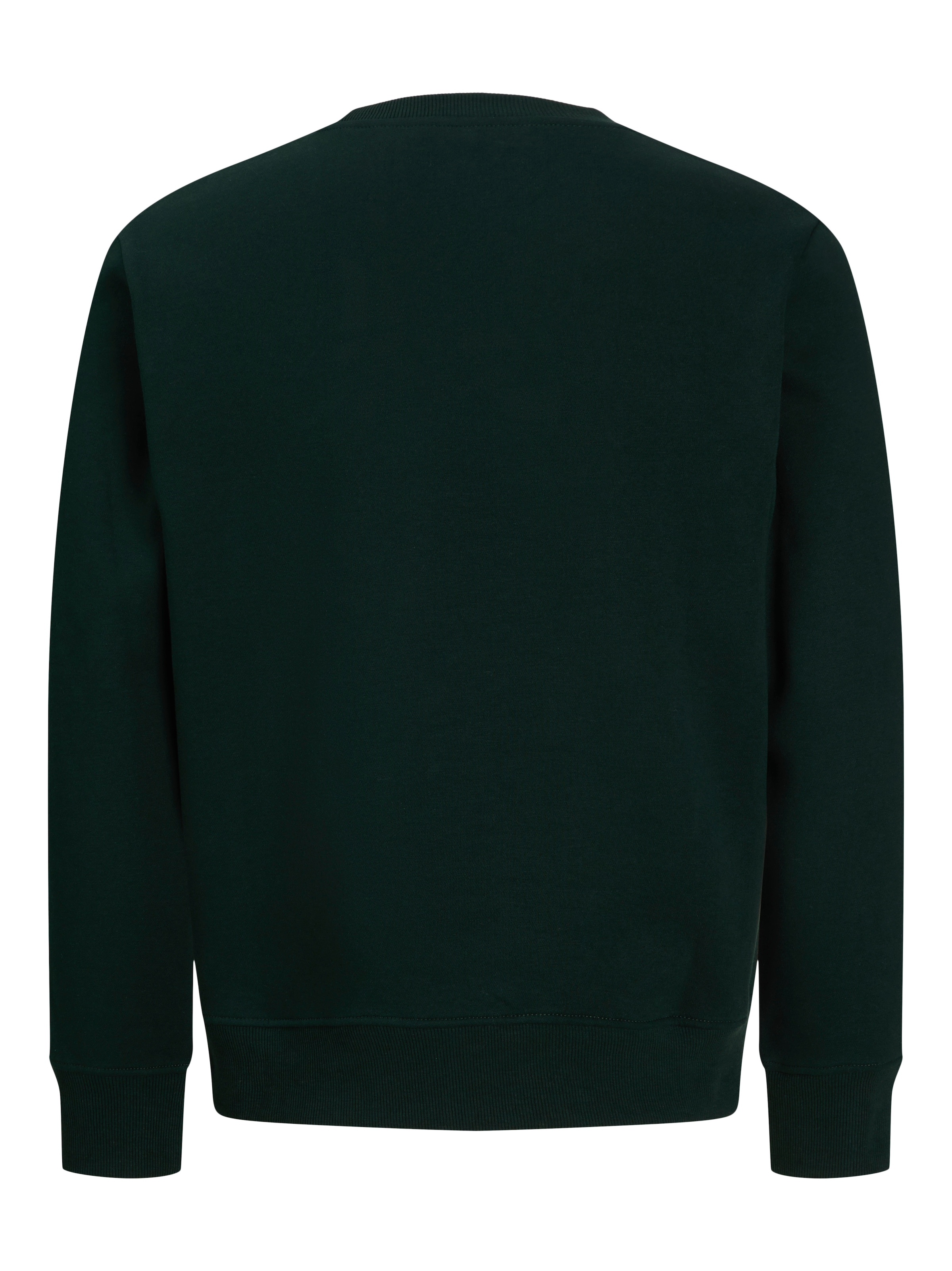 JACK & JONES Sweatshirt in Green
