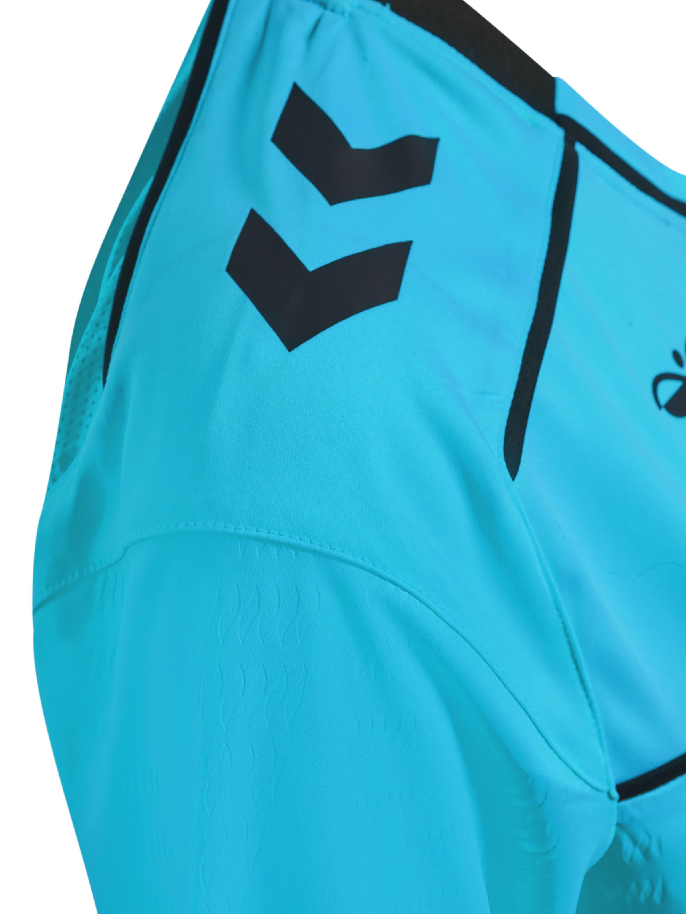 Hummel Functioneel shirt 'REFEREE' in Blauw