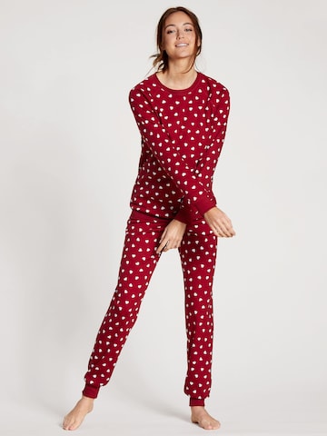 CALIDA Pižama | rdeča barva: sprednja stran