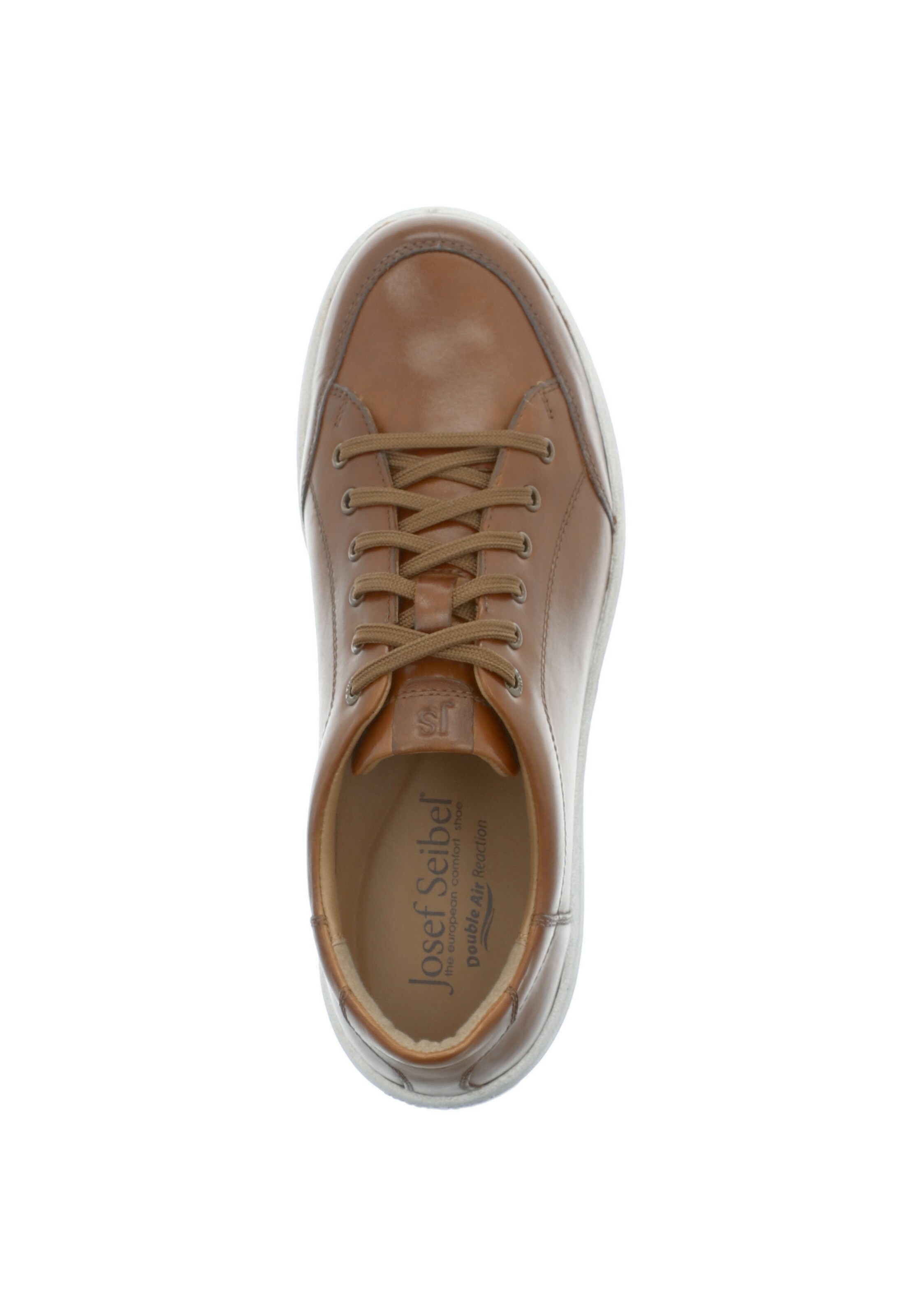 JOSEF SEIBEL Sneakers 'David' in Brown