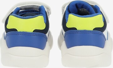 GEOX Sneakers in Blauw