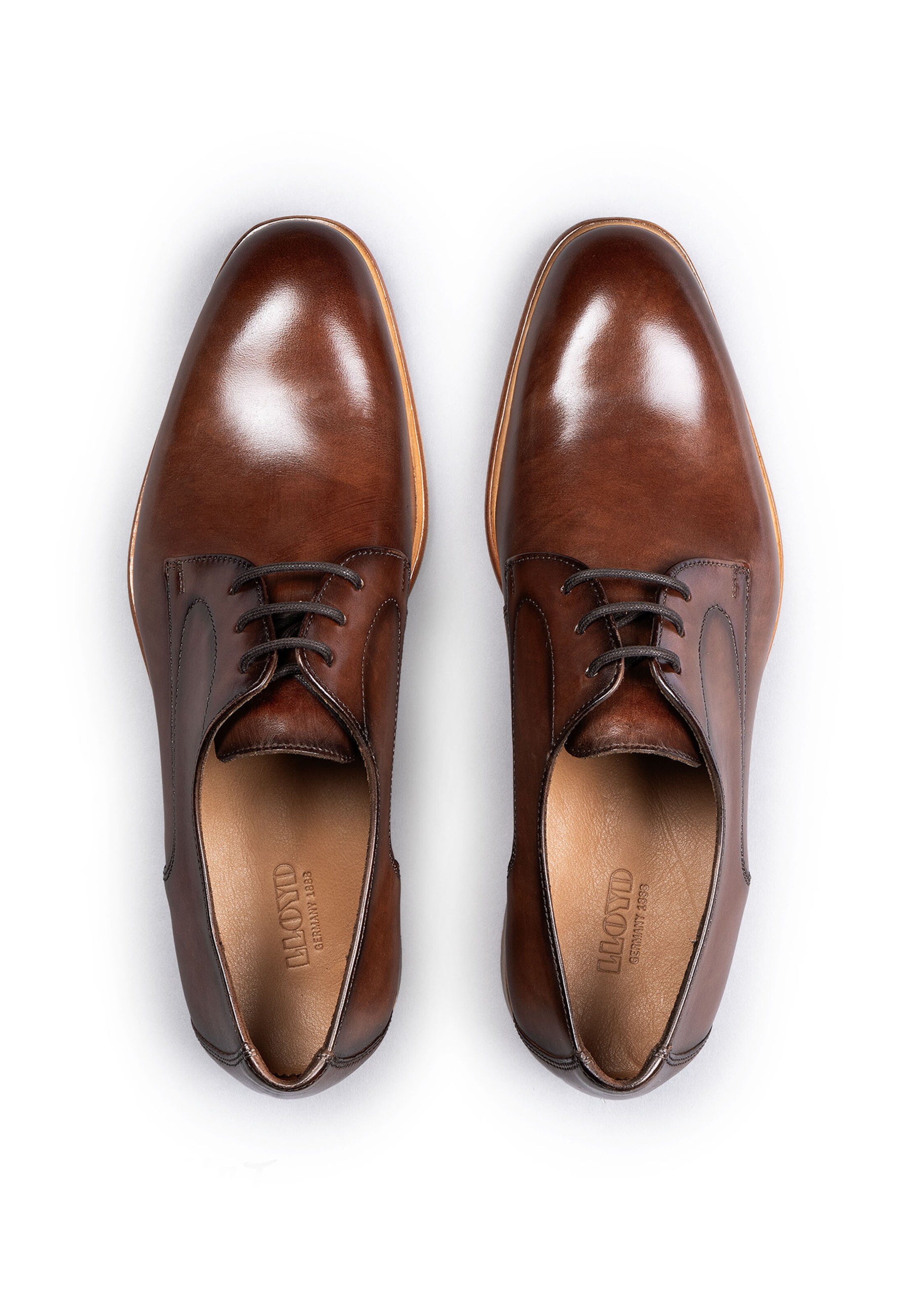 LLOYD Schnürschuh 'Stanton' in Braun