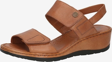 CAPRICE Sandals in Brown: front