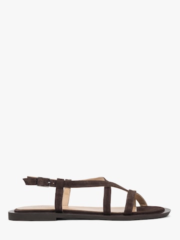 Estro - Sandalias con hebilla '11-10-8' en marrón: frente