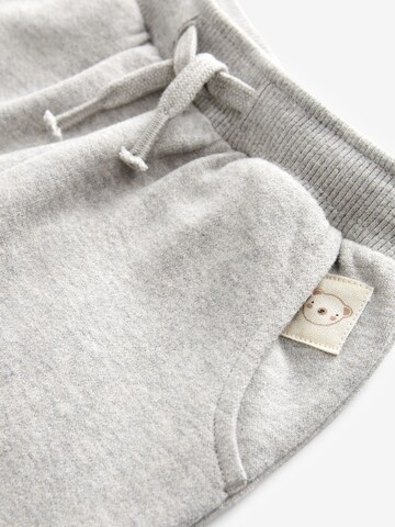 Tapered Pantaloni di Next in grigio