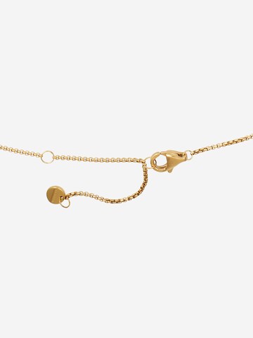 SKAGEN Necklace in Gold