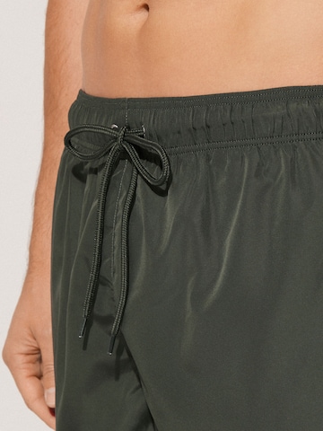 Tezenis Board Shorts in Green