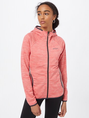 ICEPEAK Sports sweat jacket 'Deltona' in Grey: front