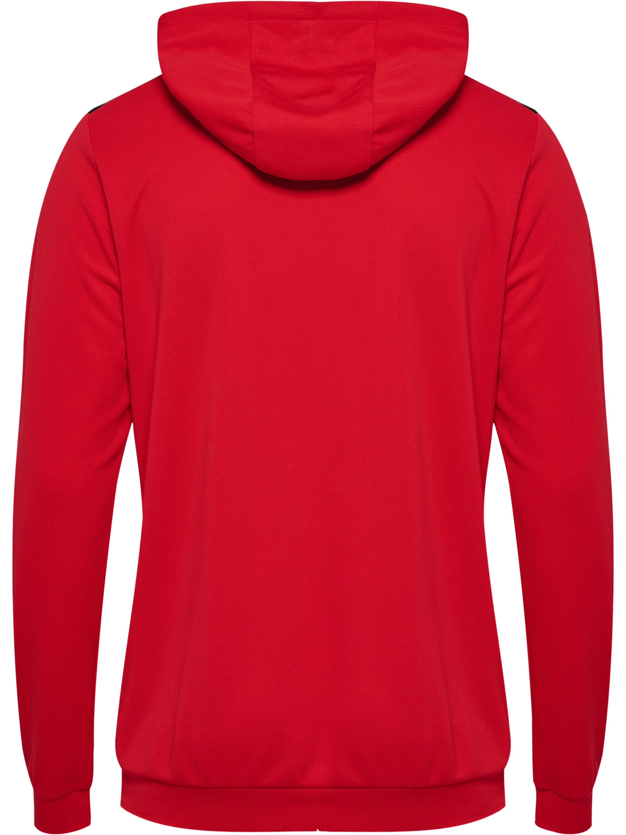 Hummel Athletic Sweatshirt 'Authentic PL' in Red