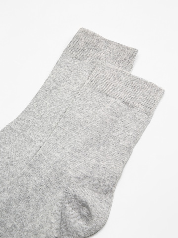 Albert Schäfer Socks in Grey