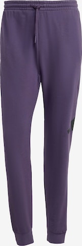 ADIDAS SPORTSWEAR Urheiluhousut värissä lila: etupuoli