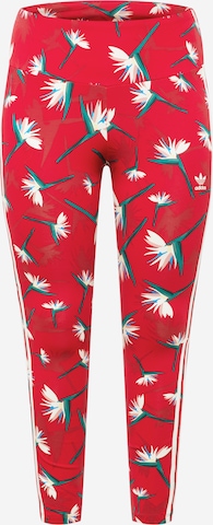 ADIDAS ORIGINALS Skinny Leggings 'Thebe Magugu X ' in Red: front