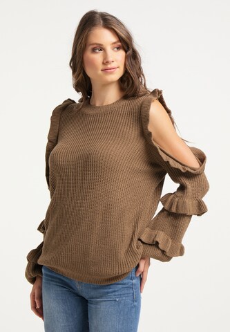 IZIA Sweater in Brown: front