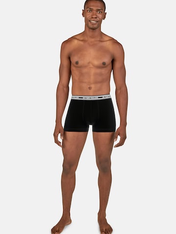TOM TAILOR Boxer shorts in Black