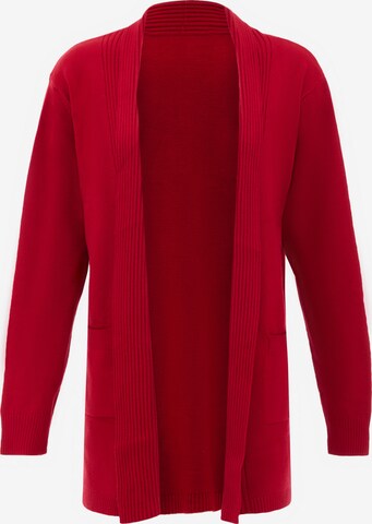 aleva Knit Cardigan in Red: front