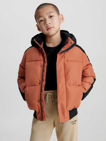 Calvin Klein Jeans Winter jacket in Brown: front