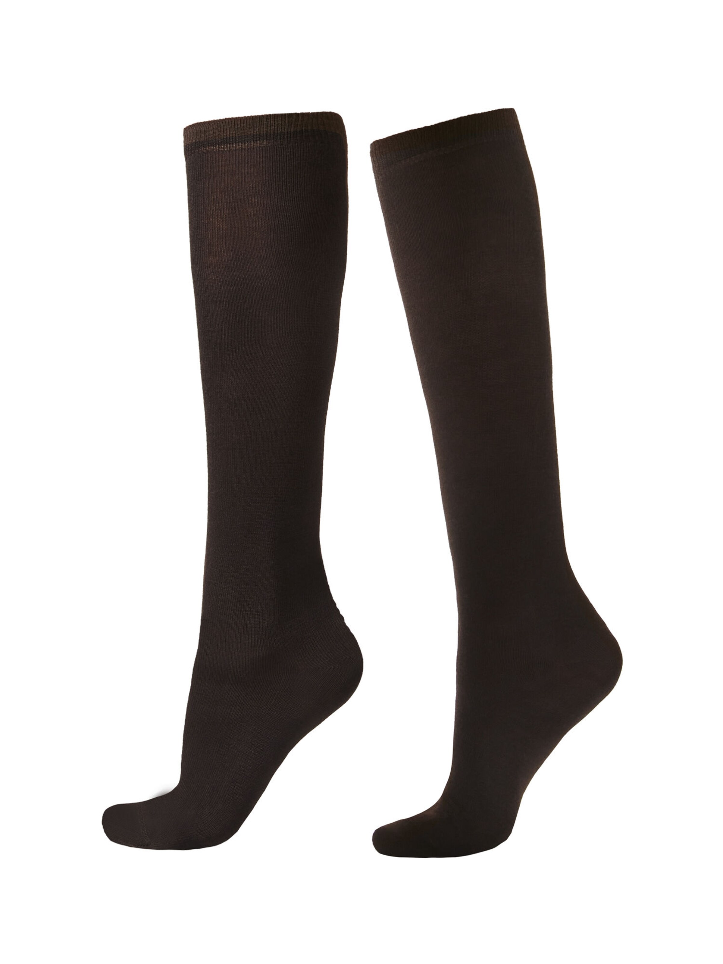 CALZEDONIA Socks in Brown: front