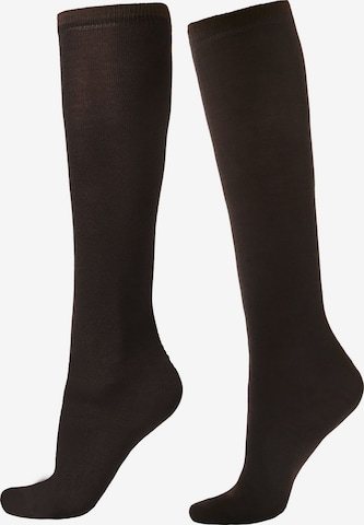 CALZEDONIA Socken in Braun: Vorderseite