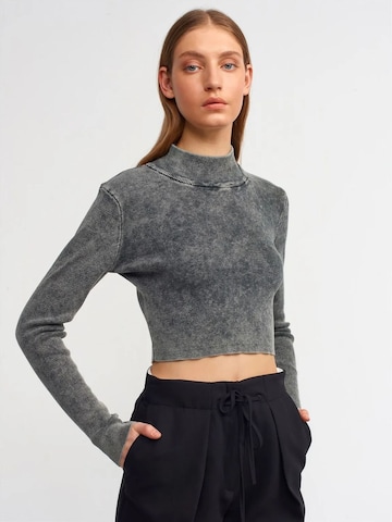 Pullover 'Pullover' di Dilvin in grigio: frontale