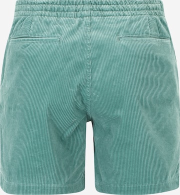 Polo Ralph Lauren Regular Shorts in Grün