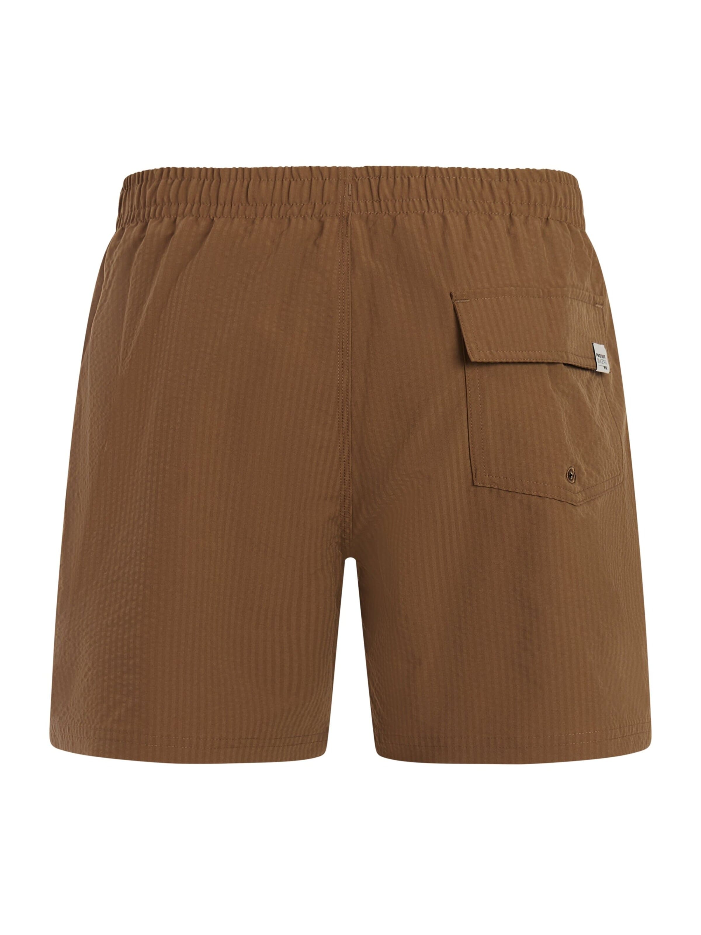 PROTEST Board Shorts 'PRTAgden' in Brown