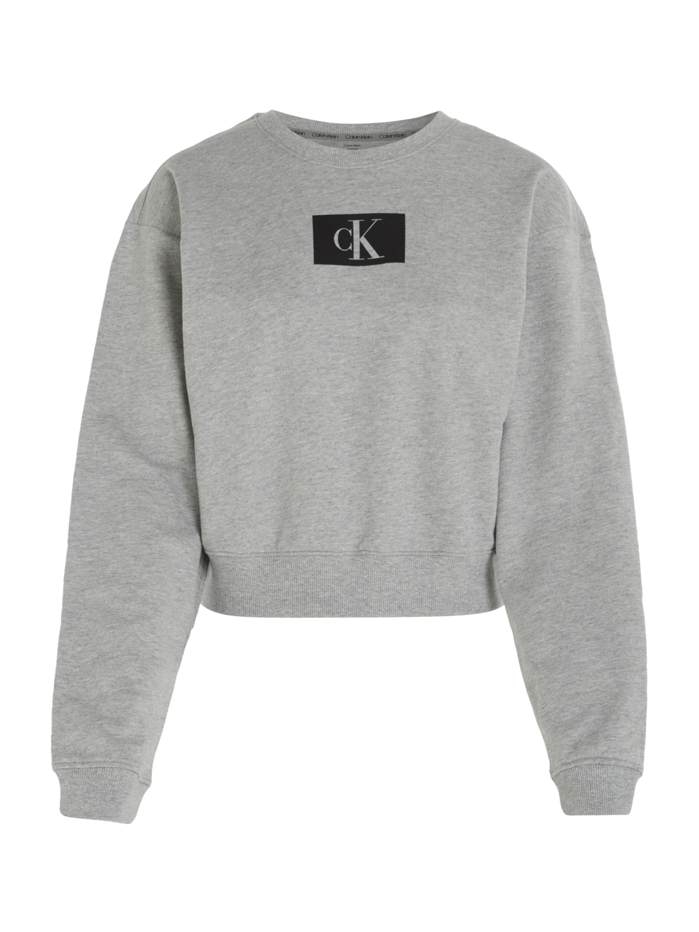 Calvin Klein Underwear Sweatshirt in Grey: front