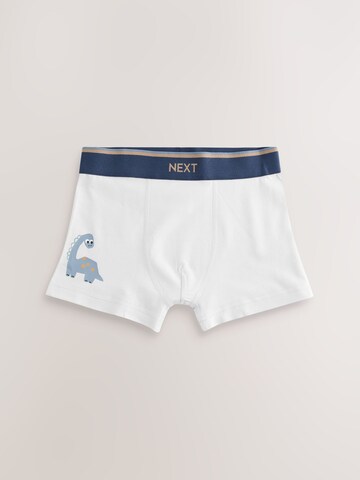 Pantaloncini intimi di Next in colori misti