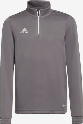 ADIDAS PERFORMANCE Performance Shirt 'Entrada 22'' in Grey: front